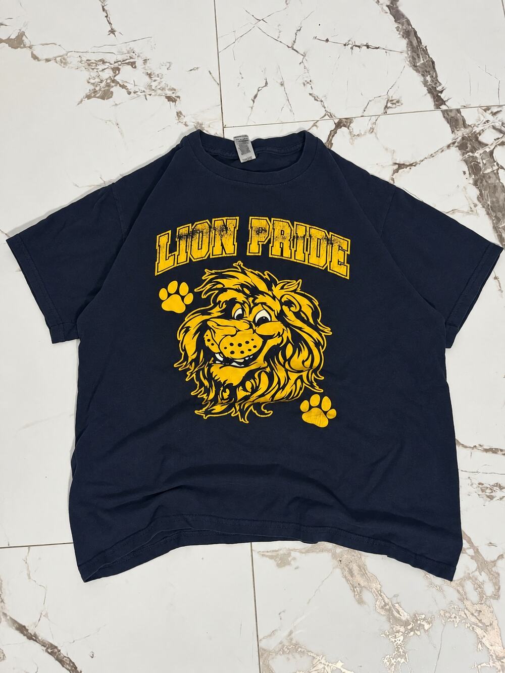 Kids "Lion Pride" Classic cotton T-shirt